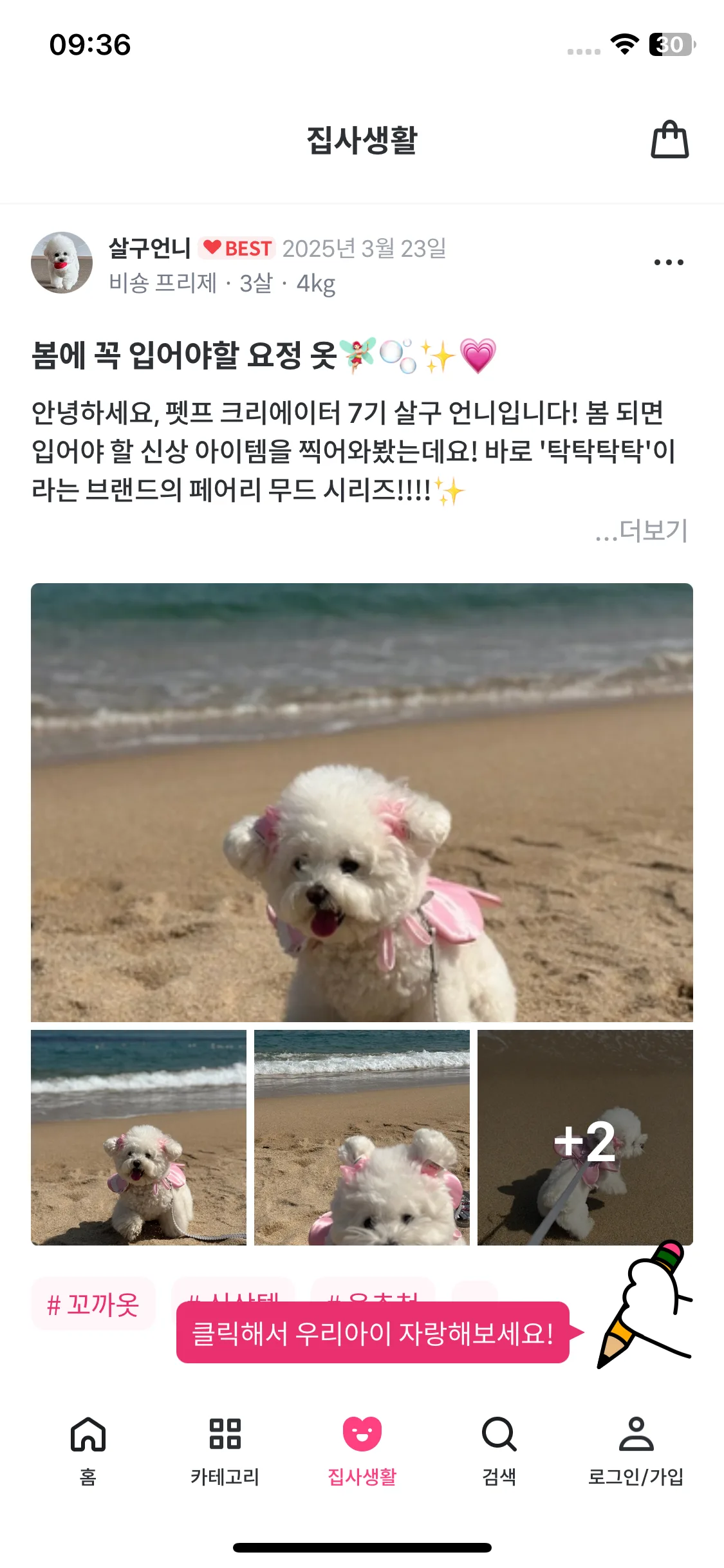 Test Image 9